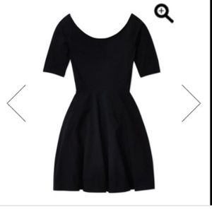 Aritzia Lexington Dress